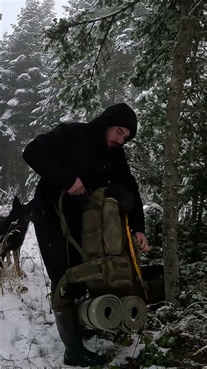 Into the Snowy Wilderness With My Dog ❄️🌲 | Bushcraft Camping