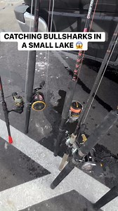 BULLSHARKS IN A LAKE at sunwest park in Hudson florida 😱 #fishing #fishinglife #foryoupageシ #foryoupagereels | Fishing.With.Guy