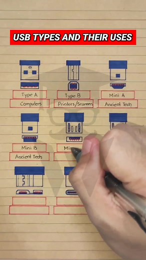 Understanding the Different Types of USBs and Their Uses