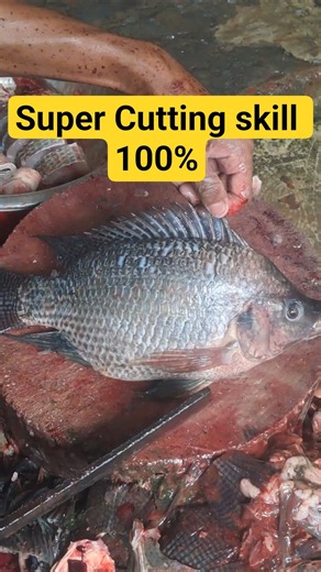 🔥 Fresh Tilapia Fish Cutting Compilation | Super Fast Fish Cleaning Skills 🐟
