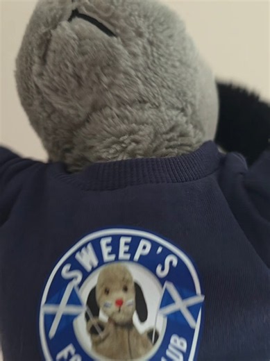 This Sweep is supporting Scotland in the World Cup #scotland #tartanarmy #worldcup #sweeptok