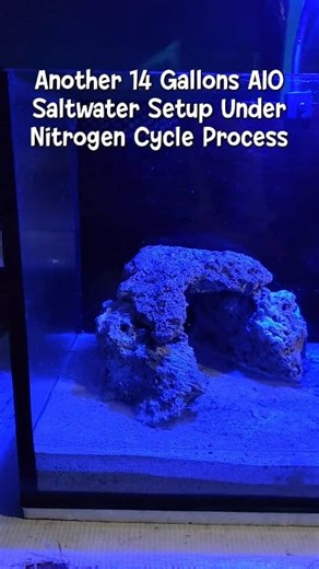 🌊 Another 14 Gallons AIO Saltwater Setup Under Nitrogen Cycle Process! 🧪🐟 🌱 Kicking off a new saltwater tank journey! Let the cycle begin! 🔄 Patience is key! 🔑 | Aqua Life Gift Sets Ph