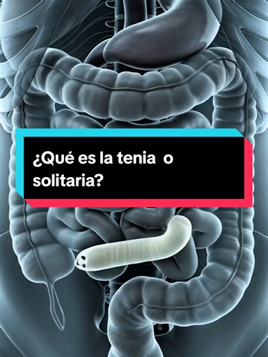 Conoce el parásito que puede vivir dentro de ti sin darte cuenta. #parasitos #tenia #solitaria #cuerpohumano #intestino