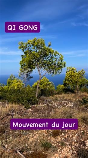 3.1K views · 424 reactions | mouvement du jour  ouvrir les ailes… à pratiquer avec les bras plus bas si vous avez des douleurs d’épaule  #qigongpractice #qigongeveryday #qigonghealing #qigongonline #biendanssoncorps | Karine Perrin | Facebook
