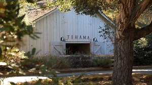 Teháma | Architect Alan Williams Reveals What Makes Teháma Different