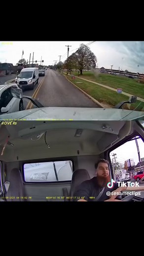 Lot Lizard: Exploring the World of Truck Stop Lizards