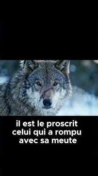 Wolf Brothers #anthropology #paleontology #humanevolution