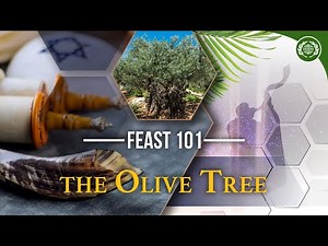 FEAST 101: Did You Know? | The Olive Tree