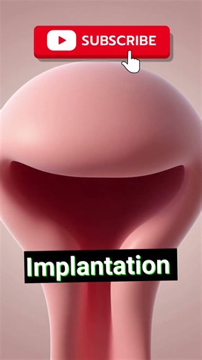 Female Reproductive System #class11th #biologybook #cbse12thbiology #neetbiology #facts #science