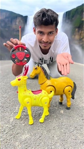 Remote Control Suto Deer and Horse 1 Ta Unboxing 🥹
