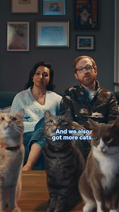 6.6K views | You could get another cat. Or you could get GEICO’s 24/7 Emergency Roadside Service. | GEICO | Facebook