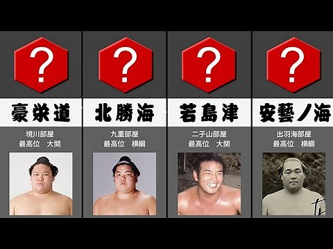 大相撲 連勝記録ランキング 歴代の20連勝以上の力士 千代の富士 朝青龍 白鵬 貴乃花 若乃花 武蔵丸 双葉山 大鵬 横綱 Sumo