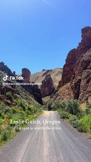 Explore the Dark Sky Sanctuary at Leslie Gulch, Oregon