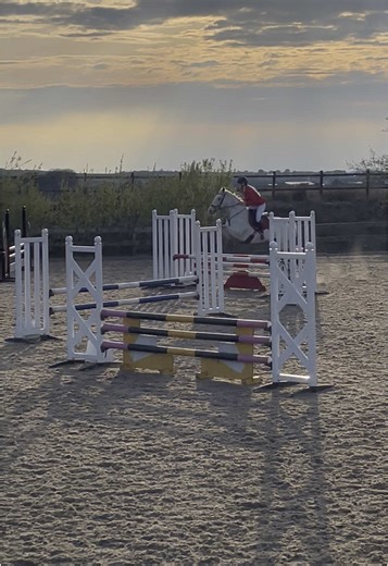 win for niki today🫶🏻 #fyp #showjumping #crofttopequestrian #equestrian #horse #ponies #foryoupage #grey #connemarapony #mare #sj #nikitaqueenofhearts