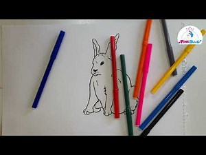 Learn to Draw Your Favorite Animal (Rabbit)