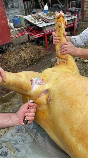 The Old Way of Preparing Pork