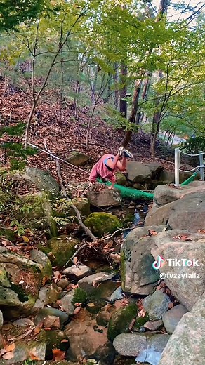 Tears Falling at Therian Party | Quadrobics & Cringe Moments