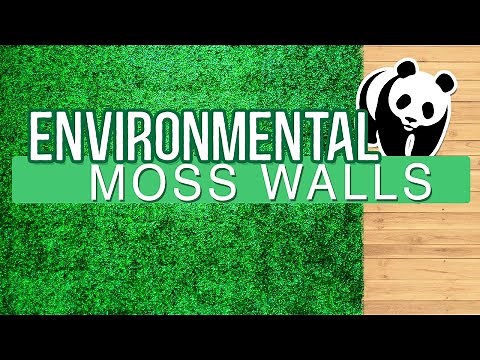 How to Build Your Own Moss Wall | Using Pre-Made Moss Panels