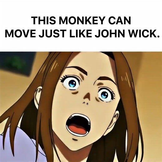 Monkey John Wick | Darwin Incident #shorts