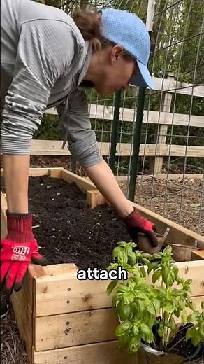 Garden Arch from Metal Mesh in 15 Minutes