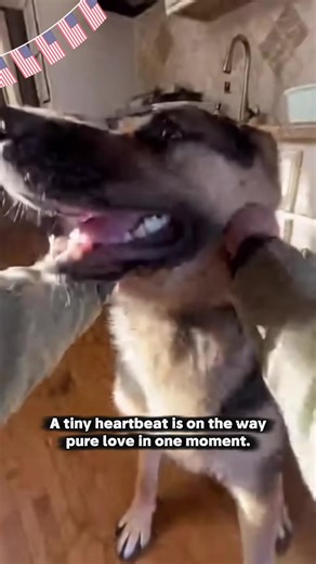 Hero's Welcome: Soldiers Return Home to Joyful Moments