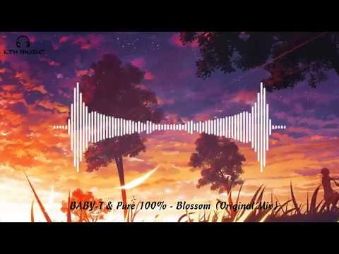 BABY-T & Pure 100% - Blossom (Original Mix) ll Nhạc TIK TOK được yêu thích nhất