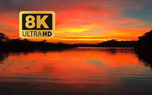 8K HDR 60fps 超高清 高对比度颜色_哔哩哔哩_bilibili