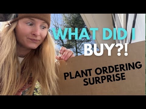 I Thought These Were Bare Root Plants… I Was Wrong 😅 | Garden Unboxing