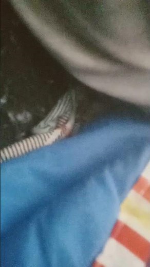 Opening to The Backyardigans: Escape from Fairytale Village Canadian 2008 DVD