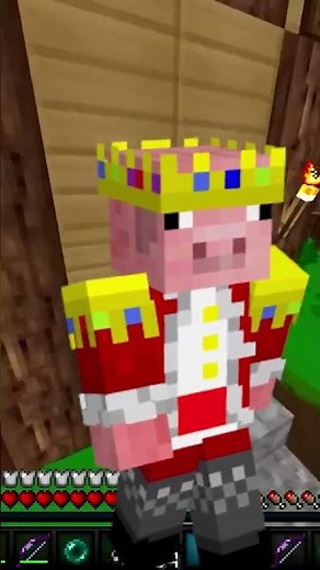 How Technoblade and His Channel Succeeded? (Story of Technoblade)