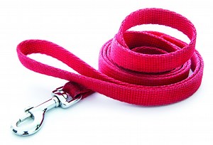 Italian bodybuilder killed parents after they asked him to walk dog