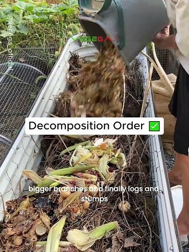 Lasagna Gardening: A Simple Way to Build Rich Soil Naturally!