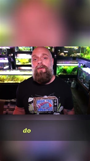 Moving Fish Tanks: Pro Tips for Over 10 Gallons!