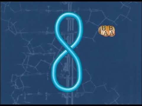 DNA gyrase, often referred to simply as All About Molecular Biology