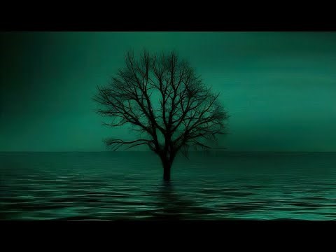 ♪ Atmospheric Doom Metal ♪