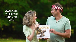 135 reactions · 22 shares | Did you know there are over 300 kinds of turtles? And the largest turtle can weigh over 2,000 lbs? Discover even more fun facts about these fascinating reptiles in The Book of Turtles! | HarperKids Books | Facebook