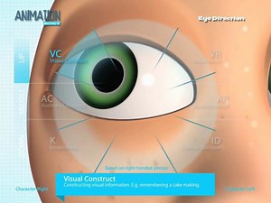 AnimationScout - Eye Direction