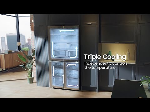 Samsung 4-Door Flex – Overview