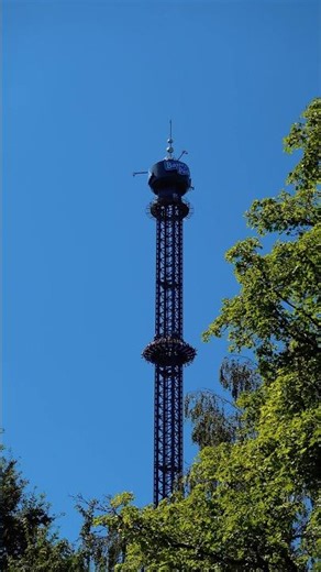 109 Meter - Voltrum 🎢 süddeutschlands höchster Freefalltower #bayernpark #freefall #shorts #viral