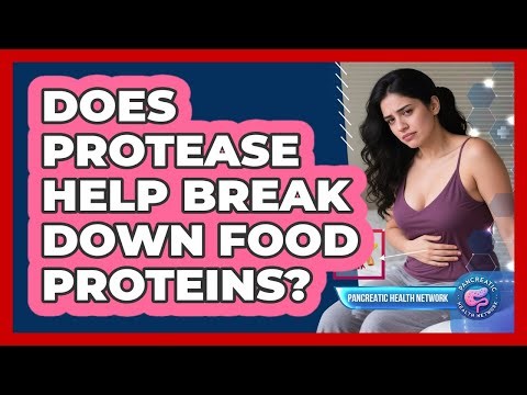 Does Protease Help Break Down Food Proteins?