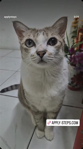 #TheEquationist #linearalgebra #vectorspace #columnspace #rowspace #nullspace #leftnullspace #machinelearning #reducedrowechelonform #artificialintelligence #supervisedlearning #unsupervisedlearning #nullity #math | Apply-Steps