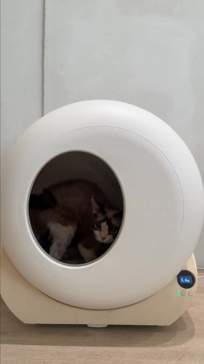 FurryTail’s Automatic Litter Box combines award-winning design with smart, safe, and reliable performance trusted by cat parents. | Furrytail_us