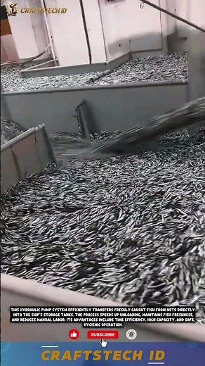 **“Automatic Hydraulic Pump System for Fish Catch Transfer” 🐟⚙️ #tech #machine #innovation