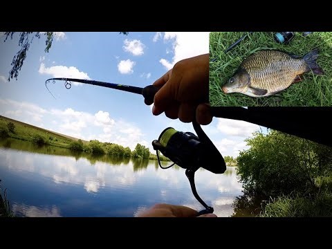 МІЙ ПЕРШИЙ КАРП НА ФІДЕР|GOLDEN CATCH Verte-X Feeder