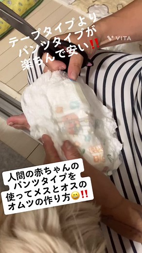 犬用オムツの作り方と付け方ガイド