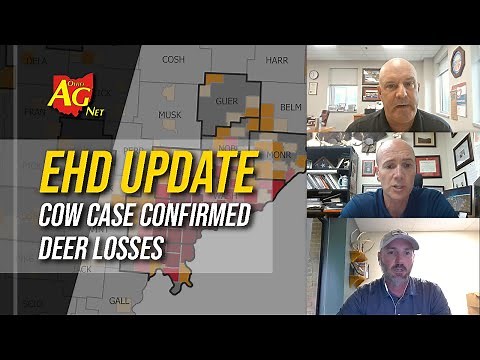 Ohio EHD Update: Cattle case in Meigs County | Deer herd losses