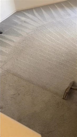 Eliminate dirt, odors & dust mites #carpetcleaning