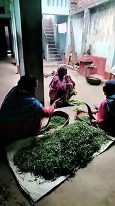 Manish Sharma on Reels