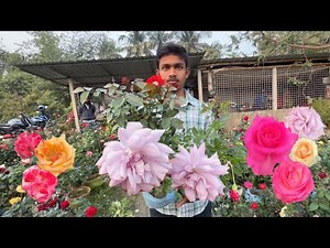 400+ Rose Varieties!🌹Sri Gobinda Nursery Tour with Online Delivery| ID & Price| Best Flowers Forever
