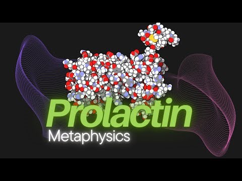 This Hormone Makes You Accept Defeat | Prolactin